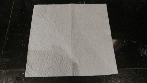 Paper Towel Preparation for Pepper Seed Sprouting #1