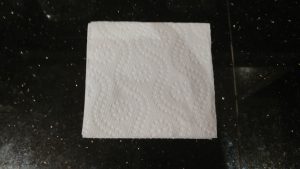 Paper Towel Preparation for Pepper Seed Sprouting #3