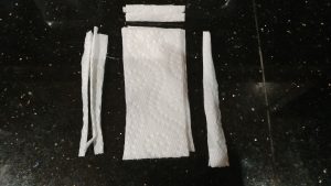 Paper Towel Preparation for Pepper Seed Sprouting #5