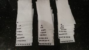 Paper Towels Marked with Dots for Pepper Seed Sprouting